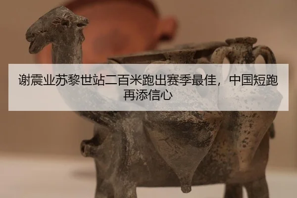 xie-zhen-ye-su-li-shi-zhan-er-bai-mi-pao-chu-sai-ji-zui-jia-zhong-guo-duan-pao-zai-tian-xin-xin-2-801.jpg
